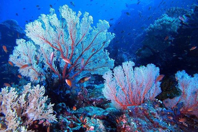 荣昌将举办“欢欢喜喜过大年”2024年春节主题文化和旅游活动